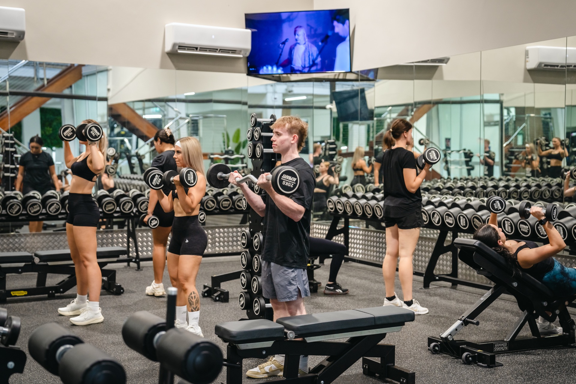 Free Weights